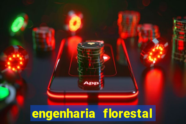 engenharia florestal ead cruzeiro do sul